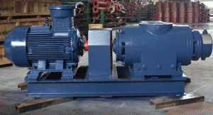 双螺杆泵 双螺旋杆泵 双螺杆转子泵