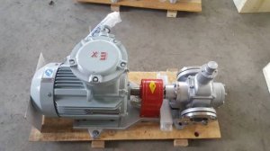 不锈钢圆弧齿轮泵 防爆齿轮油泵 铜齿轮防爆齿轮