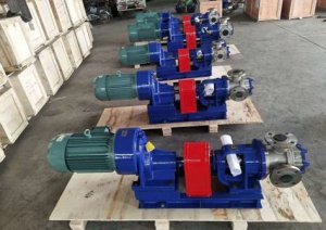 不锈钢转子泵 耐高温食品级转子泵 保温型转子泵