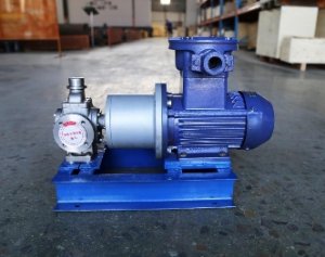 齿轮泵 齿轮油泵 圆弧齿轮泵发货通知