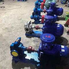 齿轮泵 防爆型型齿轮泵 渐开线齿轮泵发货通知