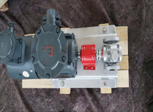 齿轮泵  YCB齿轮泵 圆弧齿轮泵发货通知